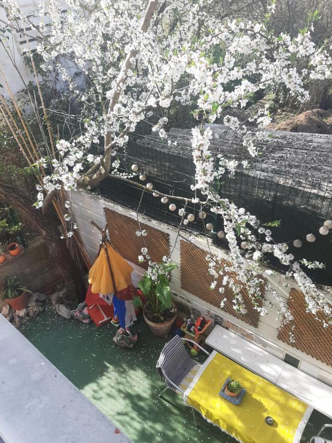 Baldissera 艾丝黛拉 外观 照片